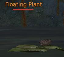 Floating Plant